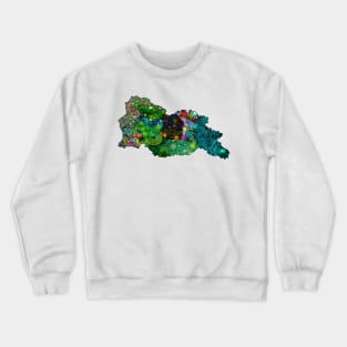 Spirograph Patterned Georgia Regions Map Crewneck Sweatshirt